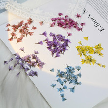 ��β��С���ɻ��滨�����ֹ�diy�����޹Ϟ�T������ˮ�����z�Ʒ