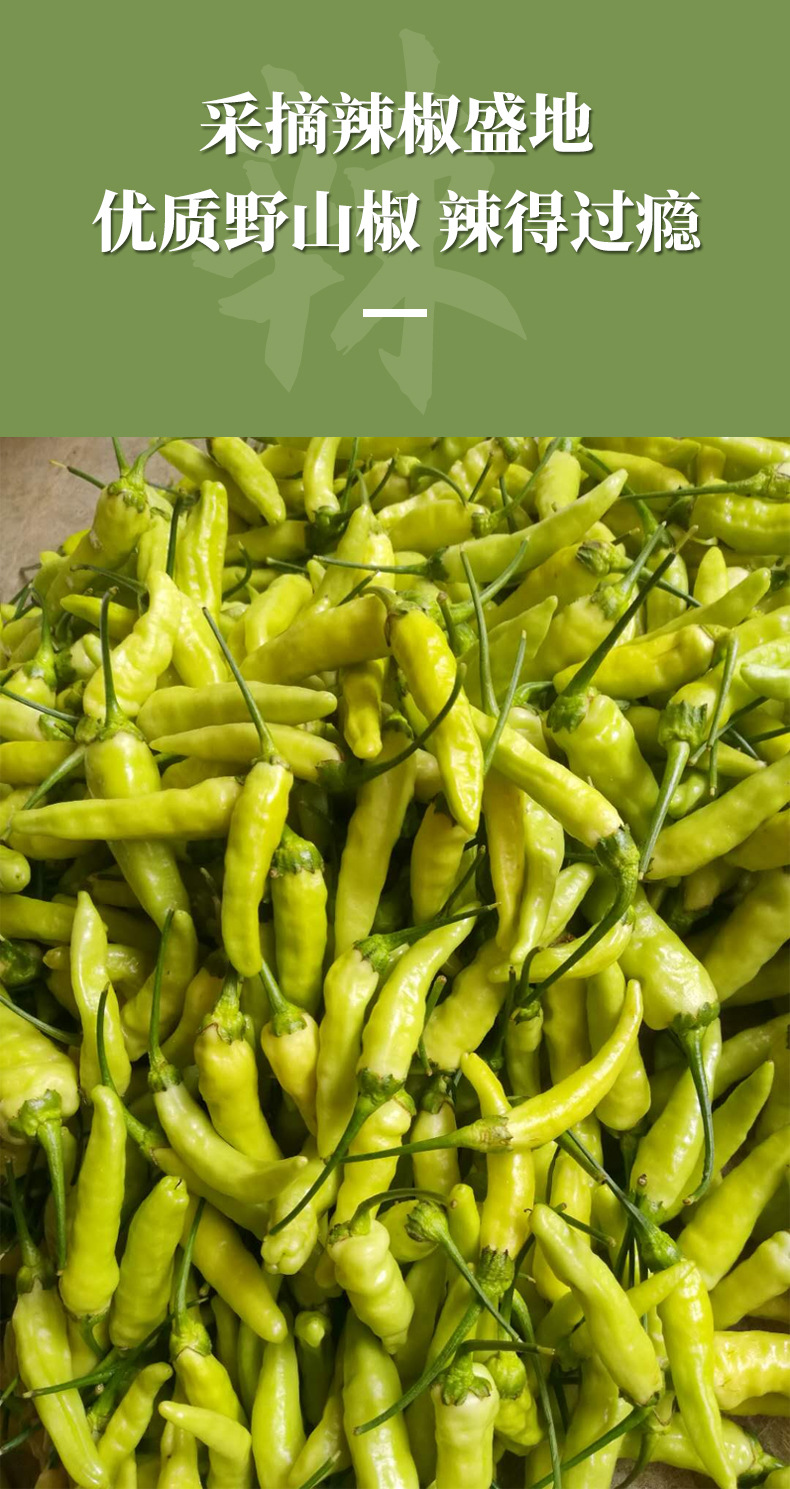 50g小方块藤椒火锅底料_09