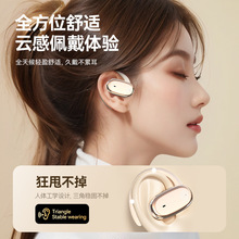 ����֮��2024�¿��{�����C���{�����ʽ�_��ʽ�ű����|�L�m������