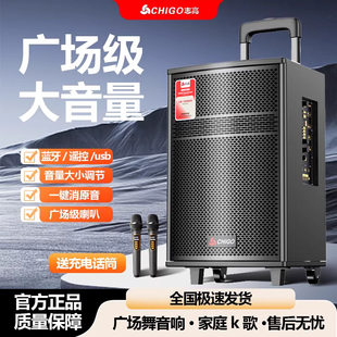 Handheld suitcase, extra-long speakers, high power, bluetooth