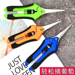 Factory fruit picking scissors strong pruning shears garden sparse fruit picking scissors grape pruning special scissors vegetable and fruit picking scissors