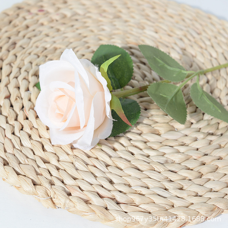 silk cloth champagne