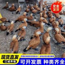 @־^^p Bֳ۸Nˮ^p Xһֻ