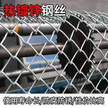 ����\䓽z�F�z�h���Bֳţ��W���@����䓽z�����W���P䓾W