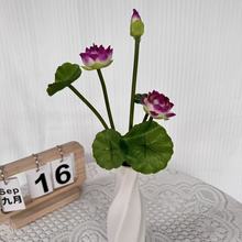 ɻ[ɏ˯ɏٻǰbʽ͏dػˇb