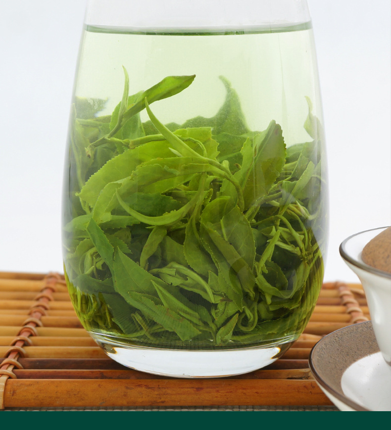 Biluochun Green Tea 2024 Spring Harvest Loose Leaf 500g Bag in use