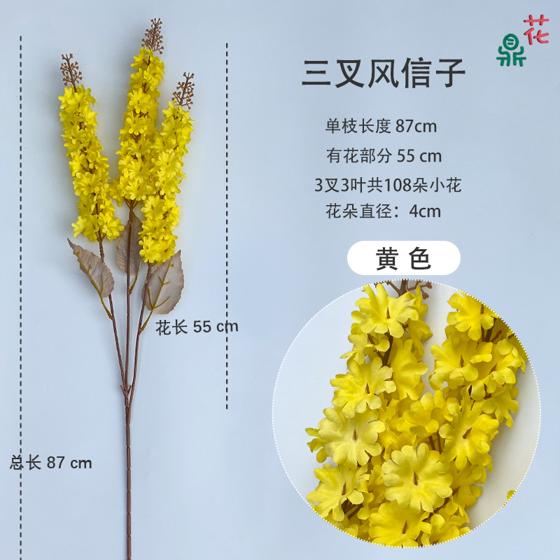 세 갈래 히아신스 노란색