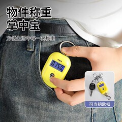 Precision mini portable electronic scale high-precision portable small spring scale crane scale home grocery shopping portable small scale