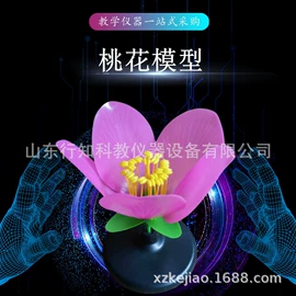 教学仪器;数理教学器材;生物教学器材