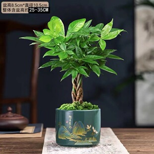 �lؔ���ļ����F���D�\�҃�С�����k���ҿ��҃�����Gֲ��ĳȩ���B