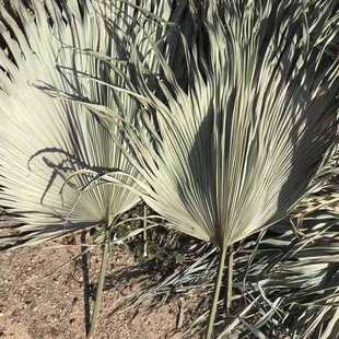 ���ȿ��~�ؙ��~DIY�廨���ϸɻ���Y�������W�Ҿ��b�����δ�޼�