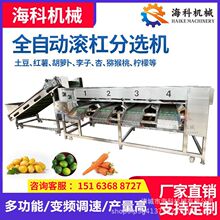 �������x�C����ǧ�����ָ�â����֦�L��ʽ�ּ��C����С���r�x���C