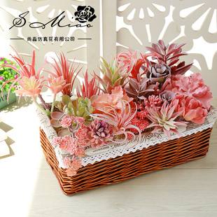 007�������ֲ�q�tɫϵ�Є���DIY��Ʒ�廨���ֲ��b�һ�����l