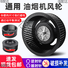 L݆ͨĸu݆͟C͙CL늙CLȴ~~݆