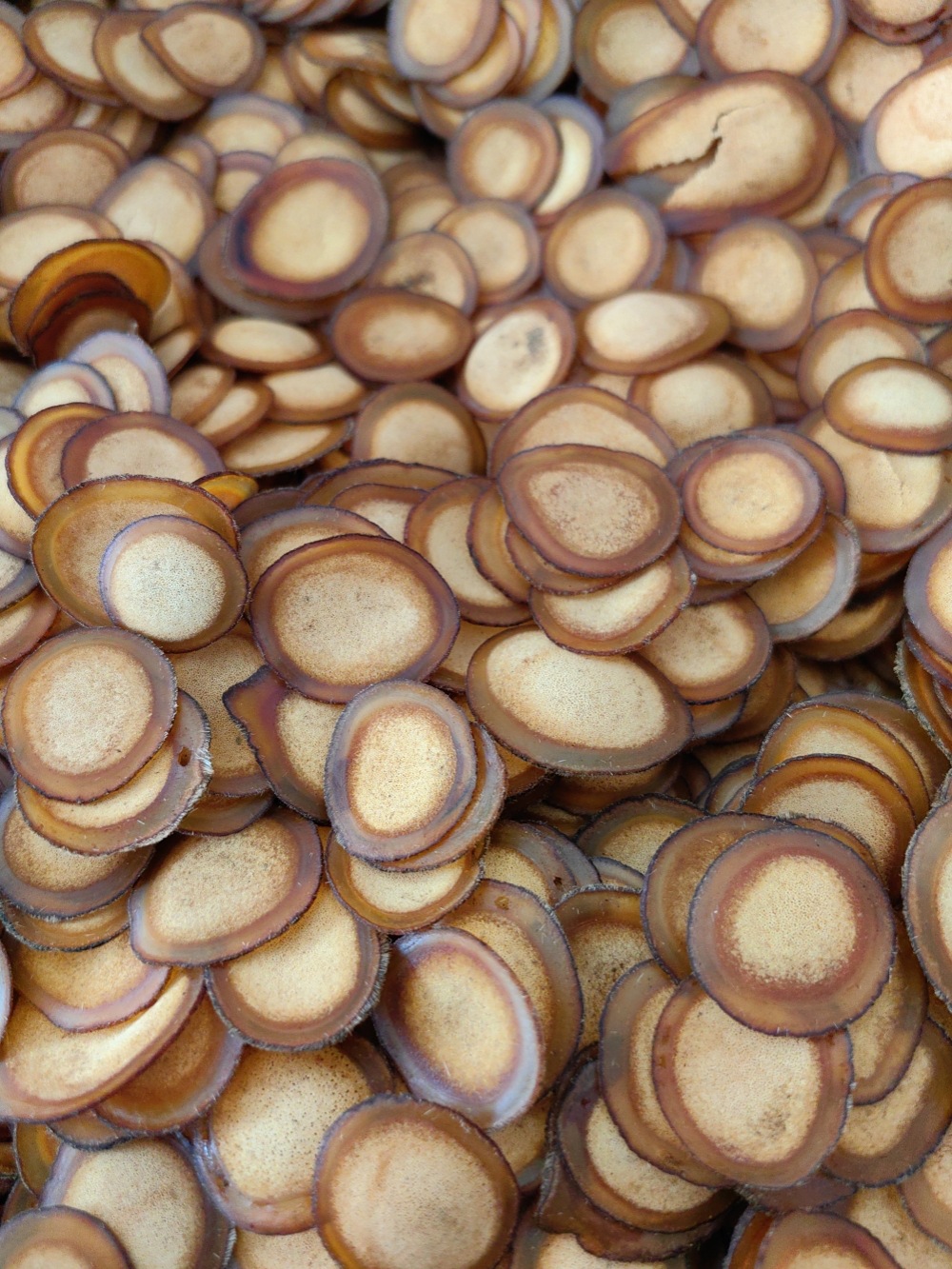 Deer Antler Slices Lu Rong Half Wax Slices Jilin Sika Deer Tonic Herb for Wine Infusion and Cooking 50g overview