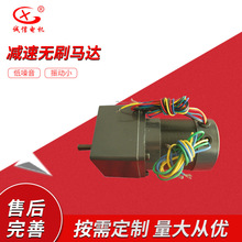 �������a���l��ֱ���oˢ���ǜp��늙C57BLDC �p�ٟoˢ�R�_