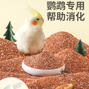 ��Ƥĵ�����P�W�^�B��ɰɳ�B�Z����Bʳ�Zʳ��ʳ���B��
