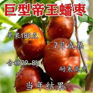 �޽ӗ��������󴗗���簫���ͺ��ϱ����ļ��Nֲ����Y���������