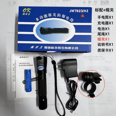 UV fənərlər, Jw76 Inspection Waterproof - 7623-standard-hat-clip