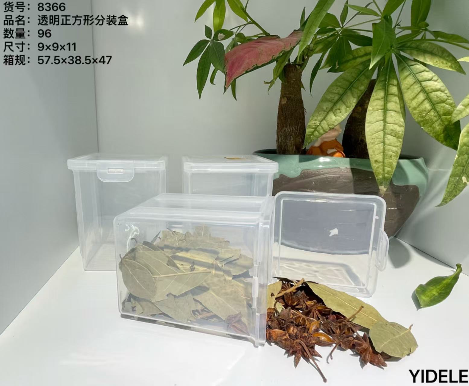 8366 透明正方分装盒