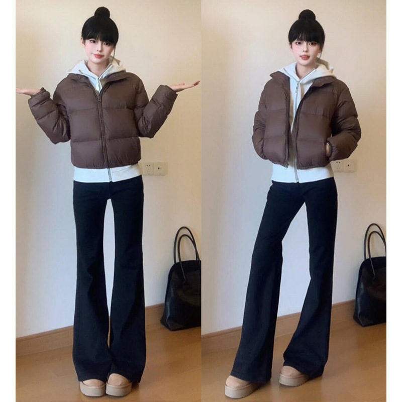 브라운 컬러 [프리미엄 에디션]