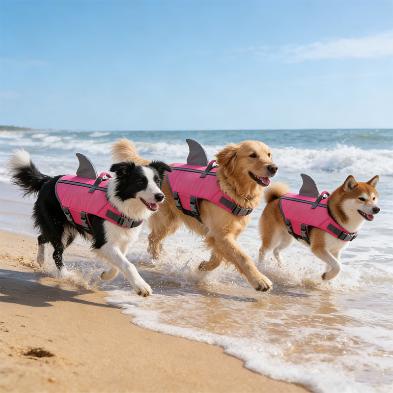 Shark Fin Dog Swimsuit