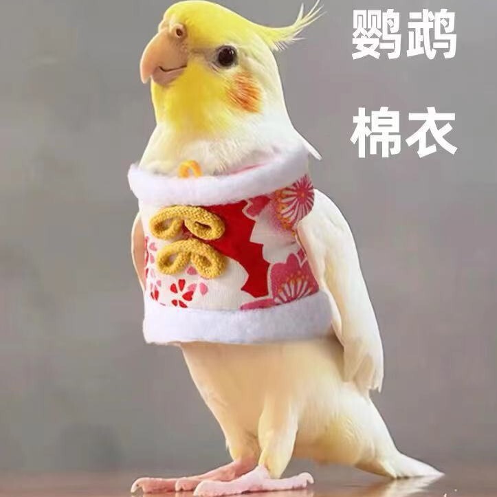 Cross-Border Parrot Clothes, Cotton-Padded Clothes, Warm Flight Clothes, Chinese Style Ancient Style Clothes, Black Wind Tiger Skin Peony Cotton Clothes, Bird Clothes Cross-Border Parrot Clothes, Cotton-Padded Clothes, Warm Flight Clothes, Chinese Style Ancient Style Clothes, Black Wind Tiger Skin Peony Cotton Clothes, Bird Clothes