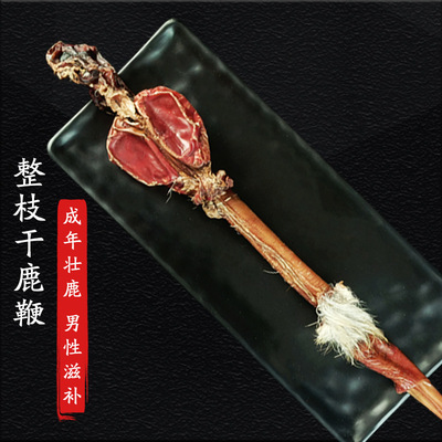 批发吉林花鹿鞭供应鹿鞭会销礼品东北特产礼盒年货会销随手礼品