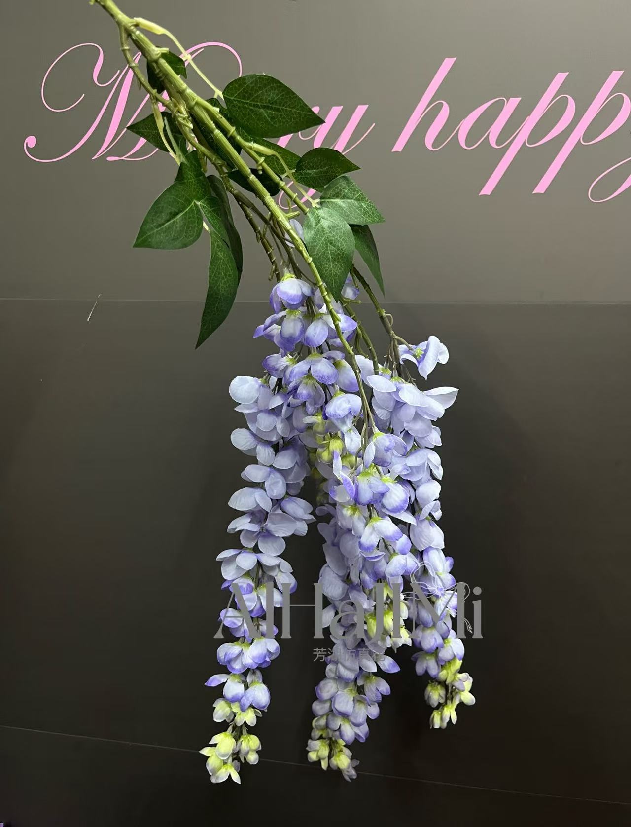 微信图片_20250218094527