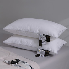 ǼƵ^оȫ޽WpwzqoiSֱNl