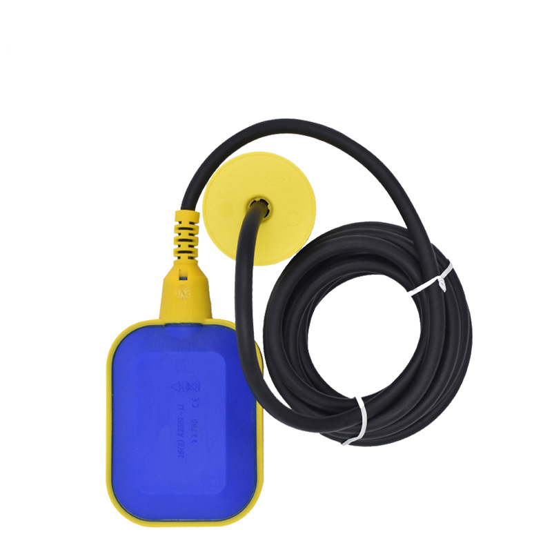 Switch key