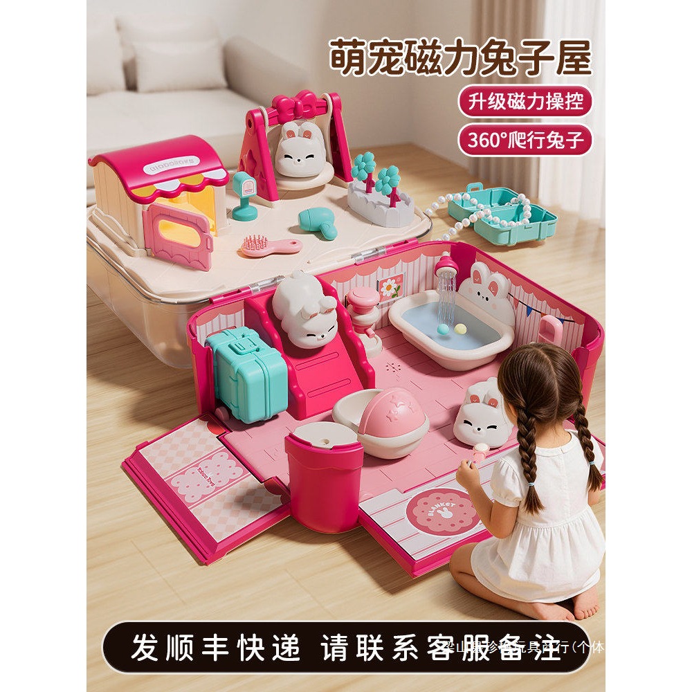 Magnetic family toy