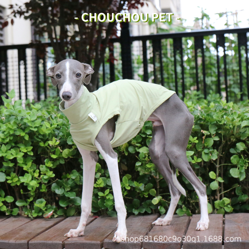 Italian Greyhound Summer Cool Sun Protection Vest Huibit Pullover Simple Dirty-proof Pet Clothes Italian Greyhound Summer Cool Sun Protection Vest Huibit Pullover Simple Dirty-proof Pet Clothes