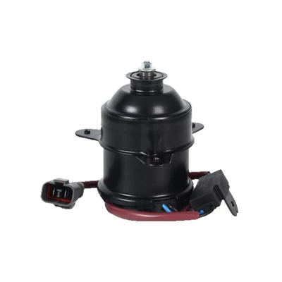 Motor, Fan