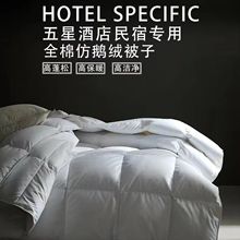 五星级酒店羽丝绒夏被透气抗菌春秋空调被宾馆被子保暖加厚冬被芯
