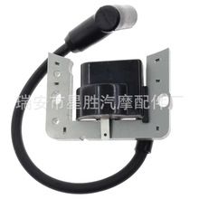 Ignition Coil for Tecumseh 34443 34443A 34443B 34443C 34443D