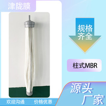 ��ʽMBR��ˮ̎��Vо�M�����VĤPVDF��ʽĤMBRĤ���ﷴ��������Ĥ