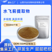 水飞蓟提取物10:1 水溶性水飞蓟奶蓟草粉 食品级保健原料