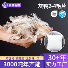 灰鸭羽毛2-4毛片 灰鸭绒片 沙发抱枕靠背枕羽绒原料填充物羽丝绒