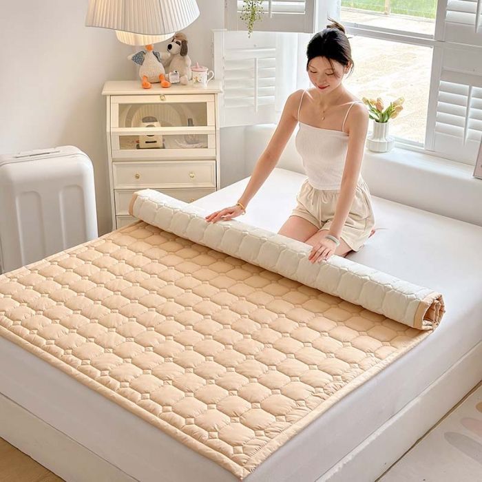 메이신-샴페인 골드