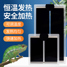 ӟ|ܱ؉|}ؿذlƬ~אaؼӟ|