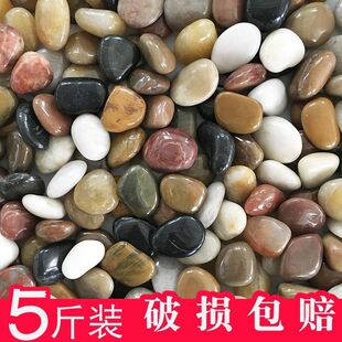 �껨ʯ�Z��ʯ|�b�СͥԺ�~��|ԭʯˮ�ྰ�^�b��l���u���N
