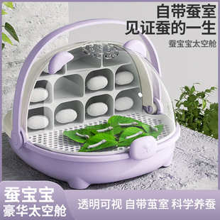 �Q�����B�Q���b̫���B���}����̫��œ�Q�����Q�^����B�ЏS�����l