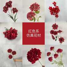 �tɫϵ��Y���滨��c�û�õ�彑���ʯõ��ٻ��Ƶ��Y���b�