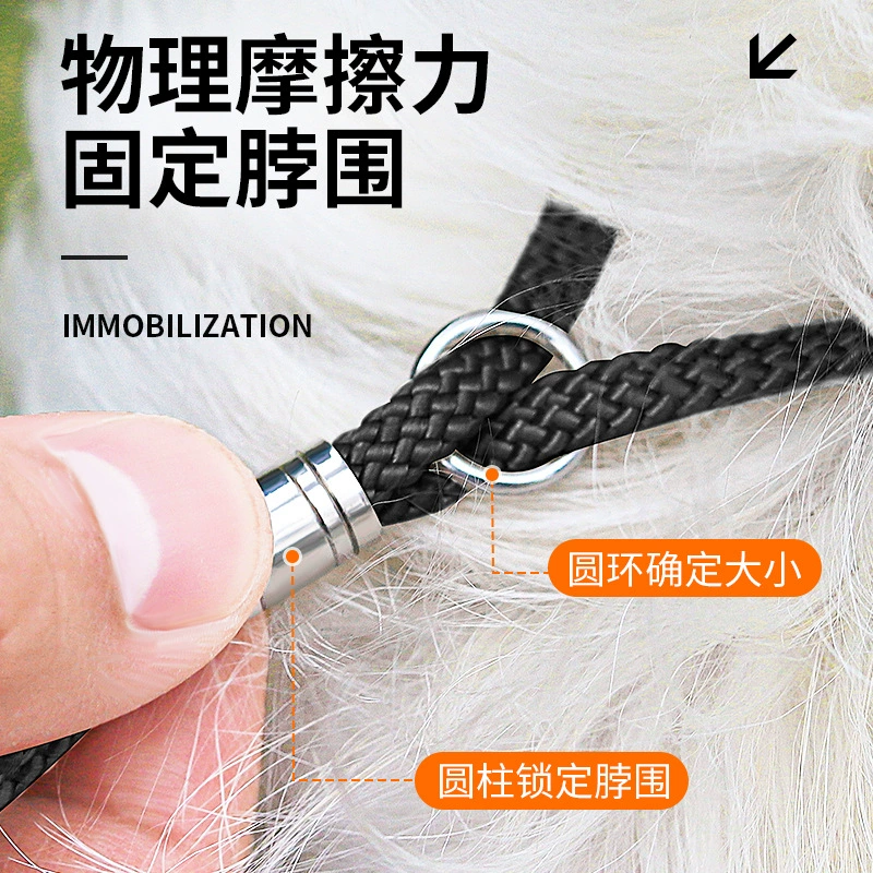 Оптовая-border щенок поводок West Highland P rope training dog P chain маленькая собака Teddy Bichon Bear не стягивать шея