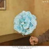 57 pieces of Xiangyun hydrangea