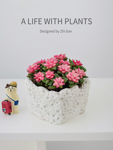 ��ѩ֮�ɶ���ֲ���ɫ���������̨���B���־Gֲ�҃Ȼ������ԶY��