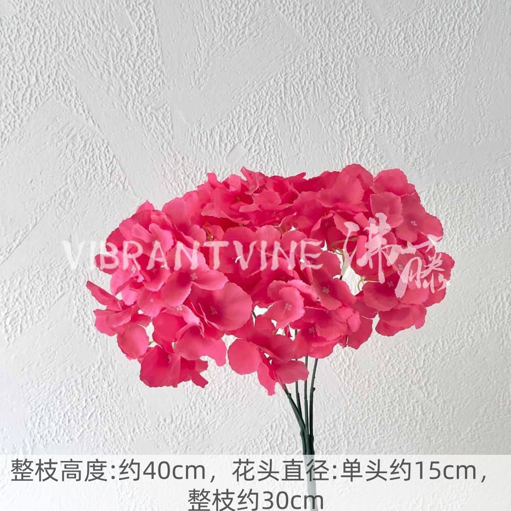 Rose red five-headed hydrangea