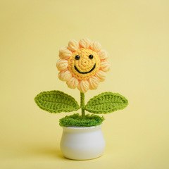 完成品卒業シーズンの笑顔ヒマワリが笑顔の太陽の花を編む小さな鉢植えの贈り物の親友