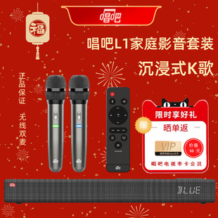 Free Shipping L1/L11 Family Ktv Audio Set Singing Microphone Home Theater Karaoke Audio Microphone